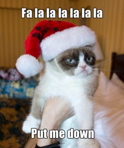 Grumpy Cat wants you to give up commercial Christmas by fighting MCS.