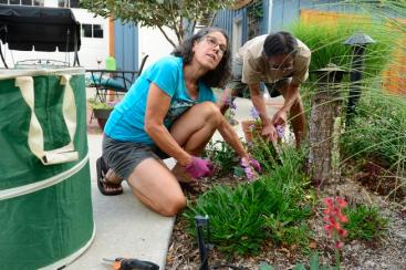 Boulder Senior Cohousing Communities