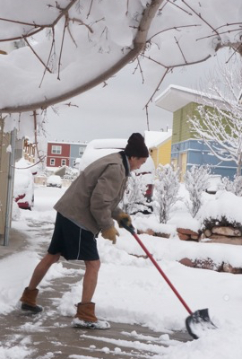 alan shoveling poster