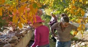 ssv gardening lindy rica 2017