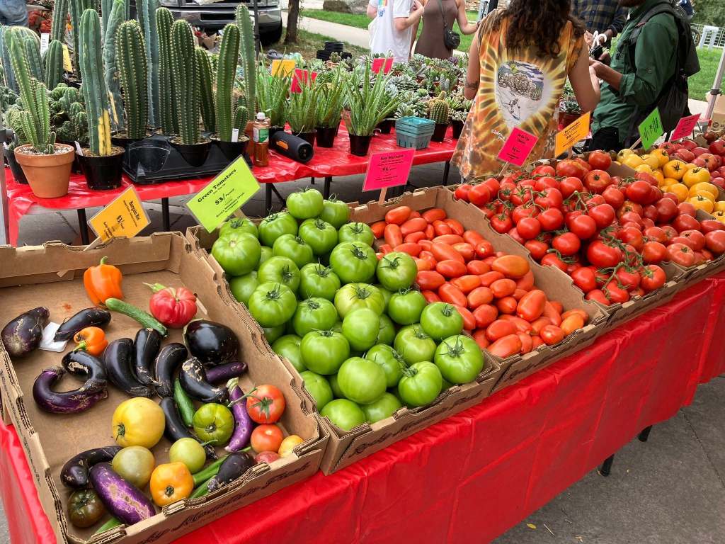 A colorful display of fresh vegetables at a farmers market, featuring green, red, yellow tomatoes, various types of eggplants, and a bell pepper arranged in cardboard boxes on a red table.